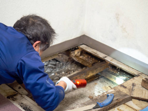 Water Damage Restoration in New Richmond, WI