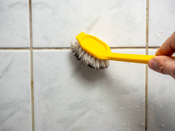 Best Mold Removal Near Me  in New Richmond, WI