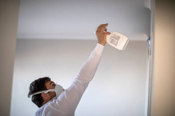 Best Commercial Mold Removal  in New Richmond, WI