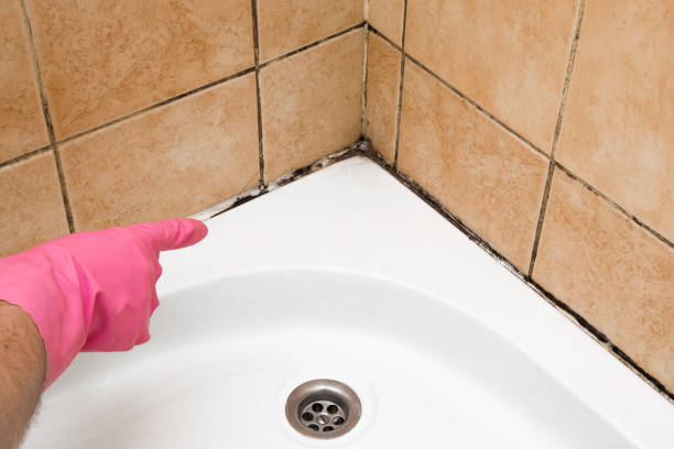 Best Mold Cleaning Services  in New Richmond, WI